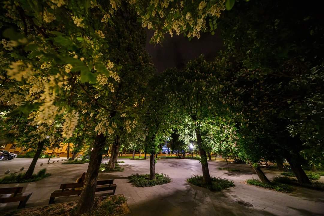 Castani înfloriți în Parcul Stefan cel Mare