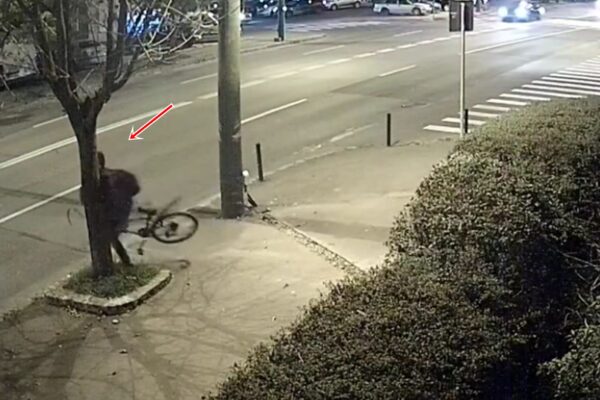 Biciclist în comă, după ce s-a izbit de un copac. VIDEO