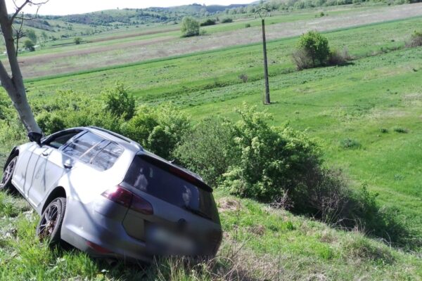 Un autoturism a intrat într-un copac la Viștea