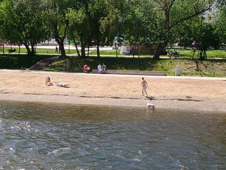 Revolta clujenilor din Grigorescu împotriva proprietarilor de câini