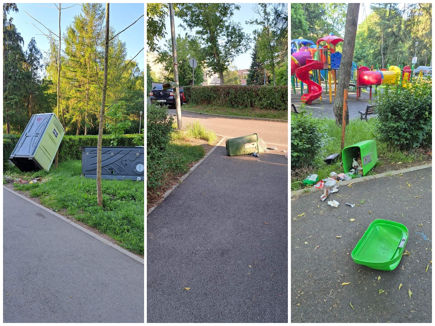 Vandalism in Parcul Detunata