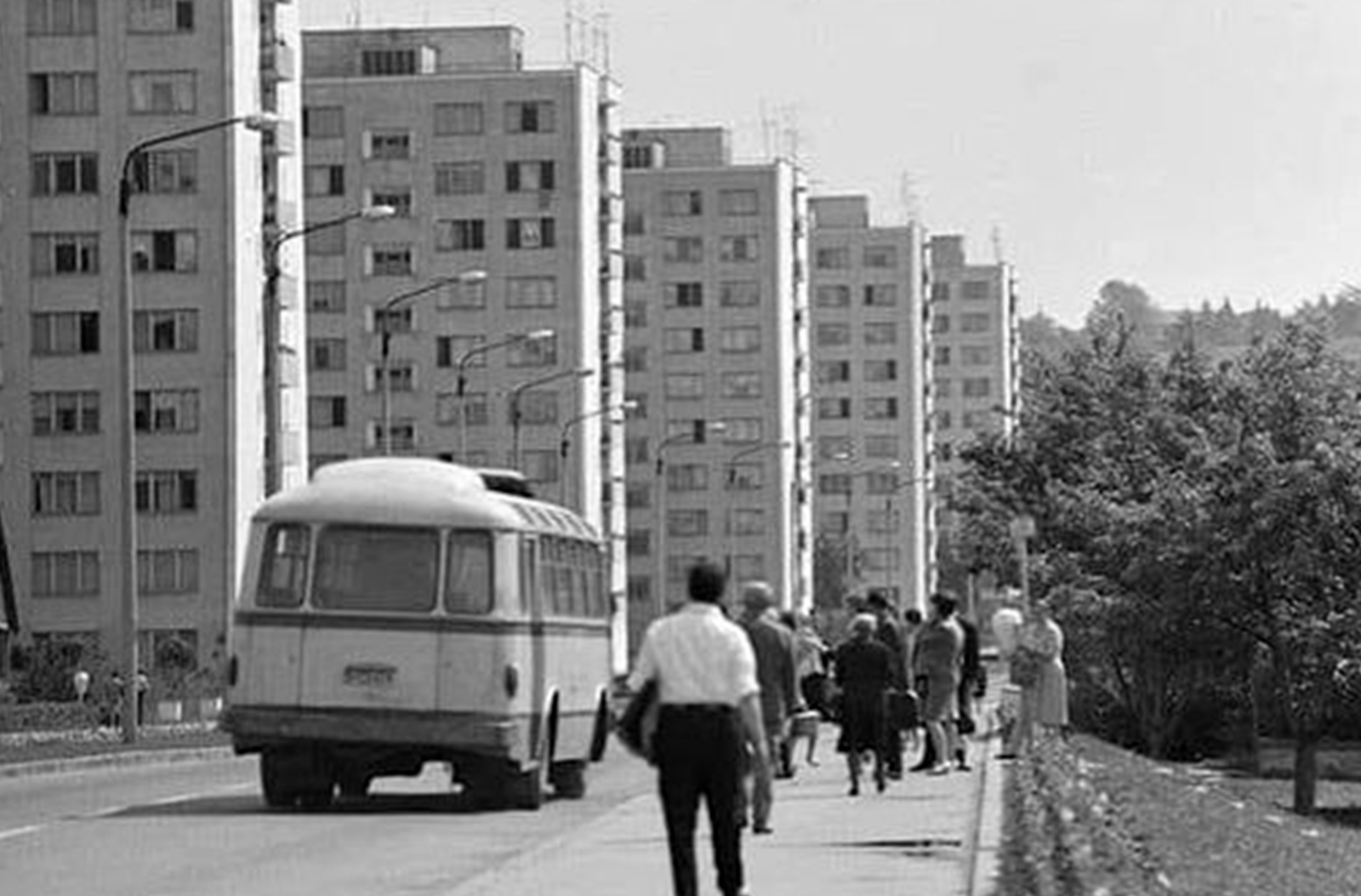 Strada Donath, Cluj
