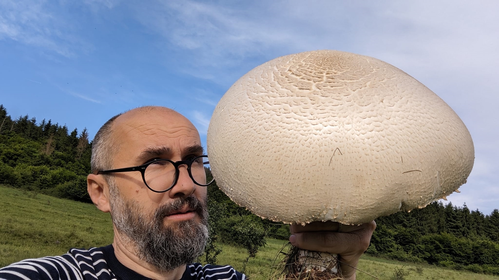 Ciupercă uriașă găsită de un clujean