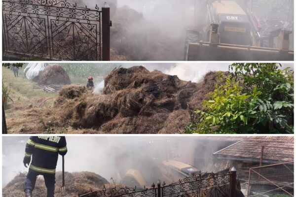 Incendiul care le-a dat emoții pompierilor, în localitatea Aluniș