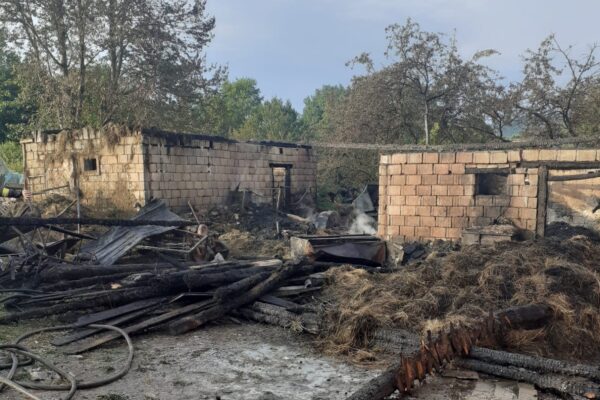 Un adăpost de animale distrus de incendiu în Dealu Mare