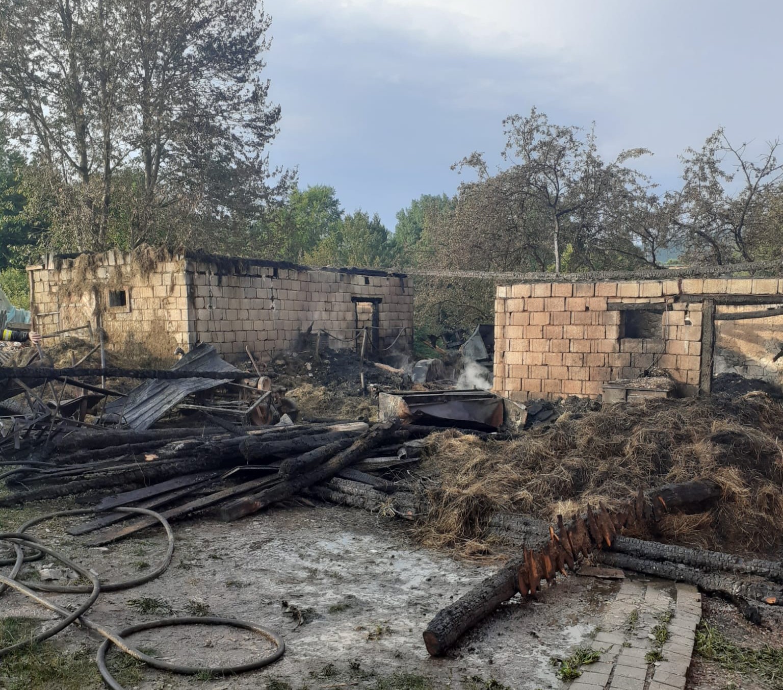 Un adăpost de animale distrus de incendiu în Dealu Mare