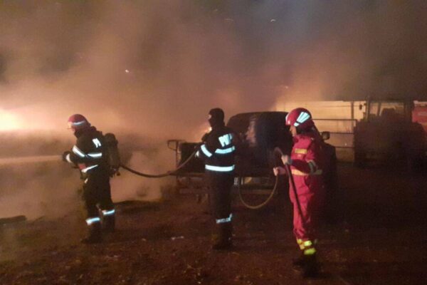 INCENDIU la o fermă din Lița. Au murit peste 600 de porci