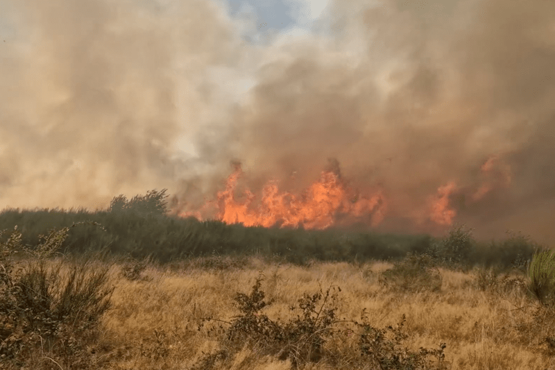 Incendiu masiv de vegetație în Maramureș