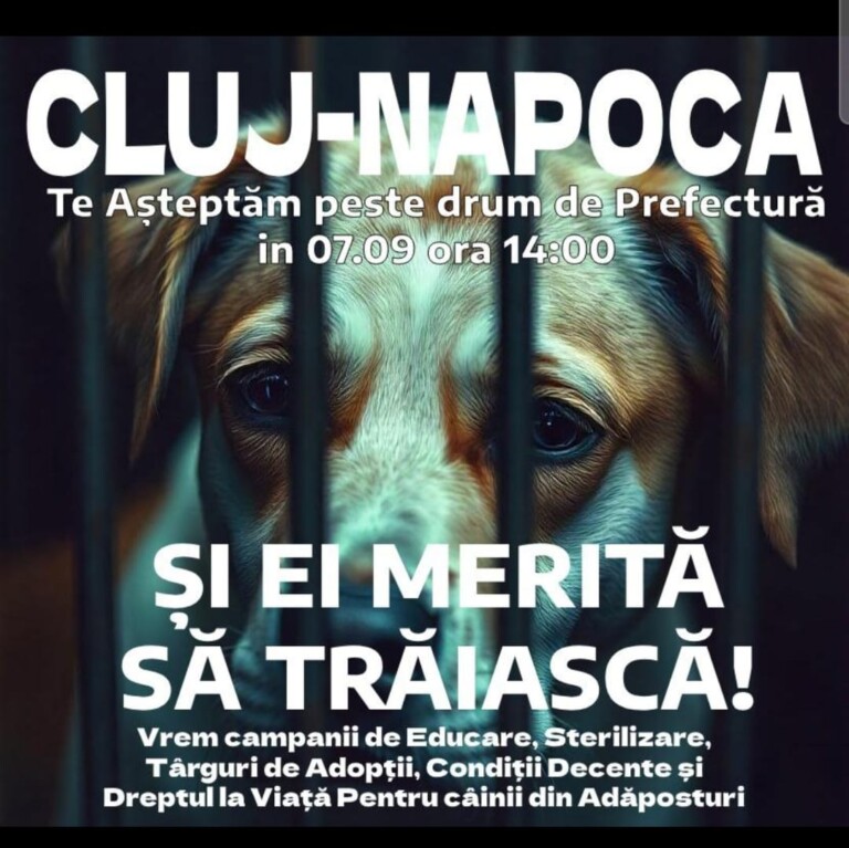 Protest la Cluj împotriva eutanasierii animalelor și pentru sterilizare!