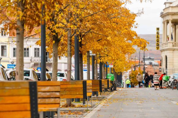 Prognoza meteo pentru săptămâna aceasta la Cluj