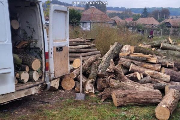 Pădurar din Cluj reținut de polițiști. Acesta ajuta la furtul de lemne