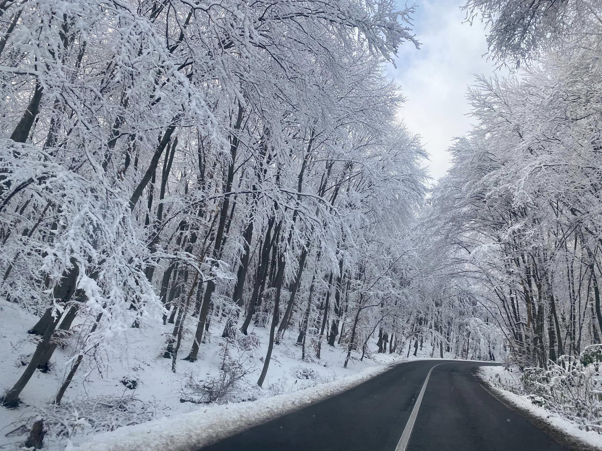 Iarna în toată splendoarea la Făget