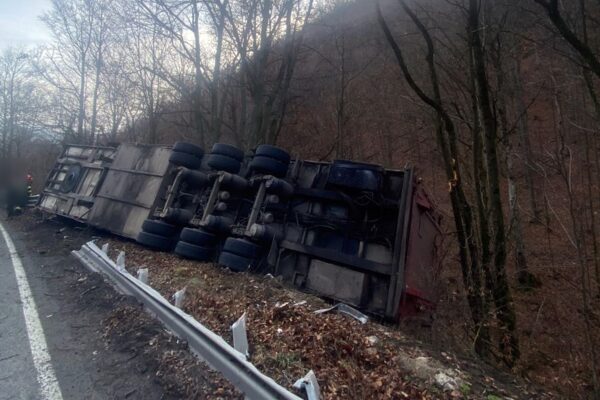 Autotren plin cu porci, răsturnat pe DN 1, la Negreni, Cluj