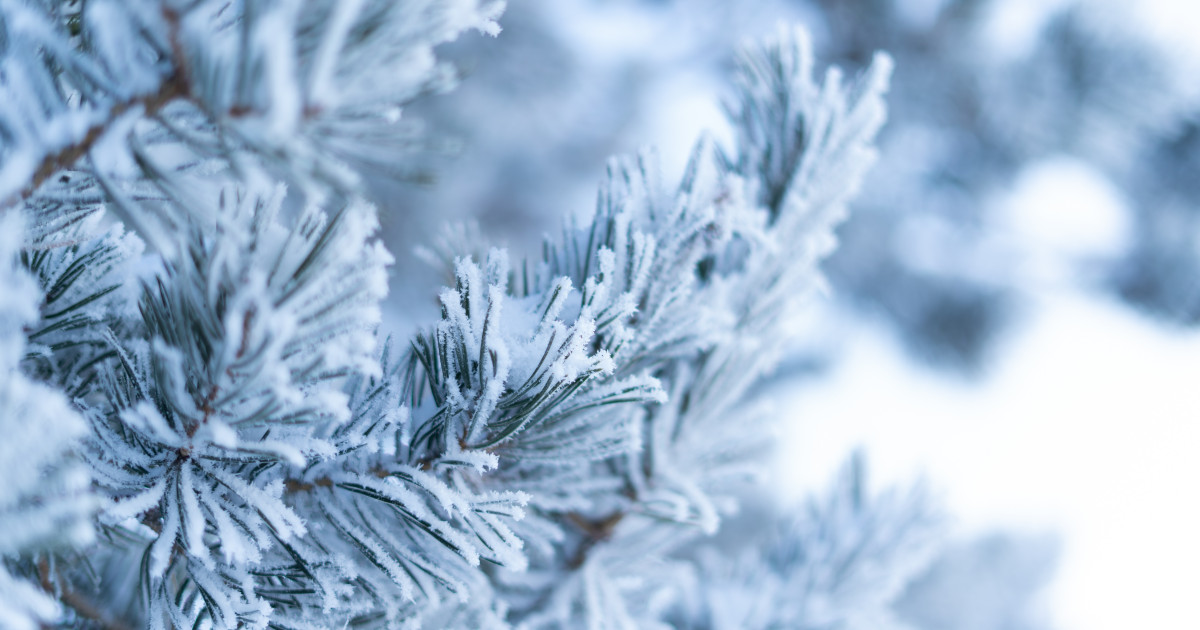 Prognoza meteo pe următoarele două săptămâni