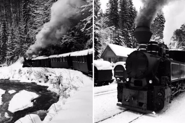 Cât costă o tură cu Mocănița prin Maramureș? Cum circulă vestitul tren cu abur?