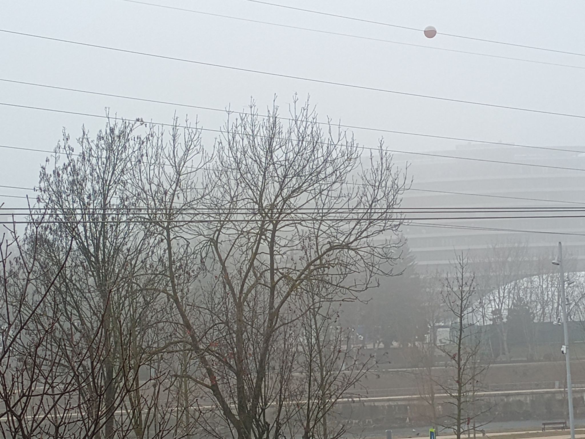 COD GALBEN de ceață în Cluj