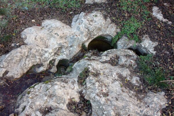 Izvorului regelui Alexandru Macedon, de lângă Cluj