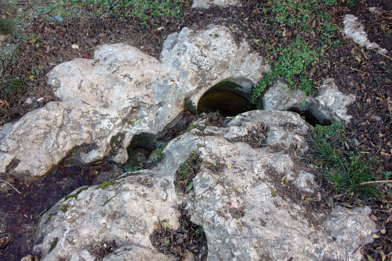 izvorul lui alexandru macedon, sandulescu