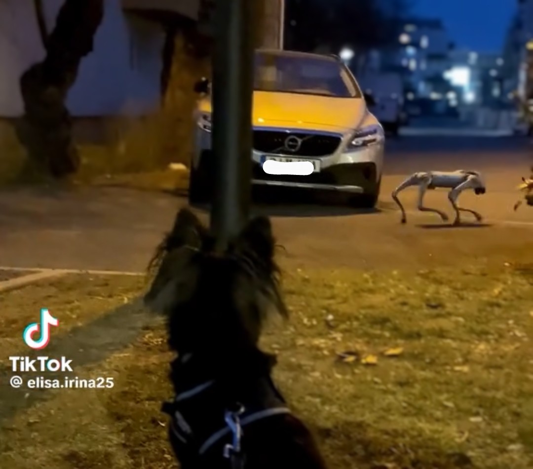 La Cluj-Napoca au început să umble roboții