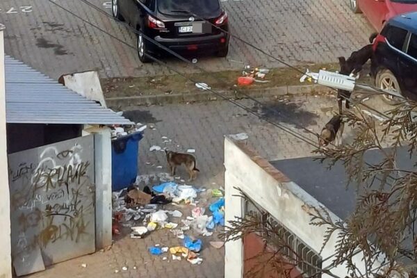 Orașul Huedin arată tot mai jalnic. Munți de gunoaie sunt la tot pasul