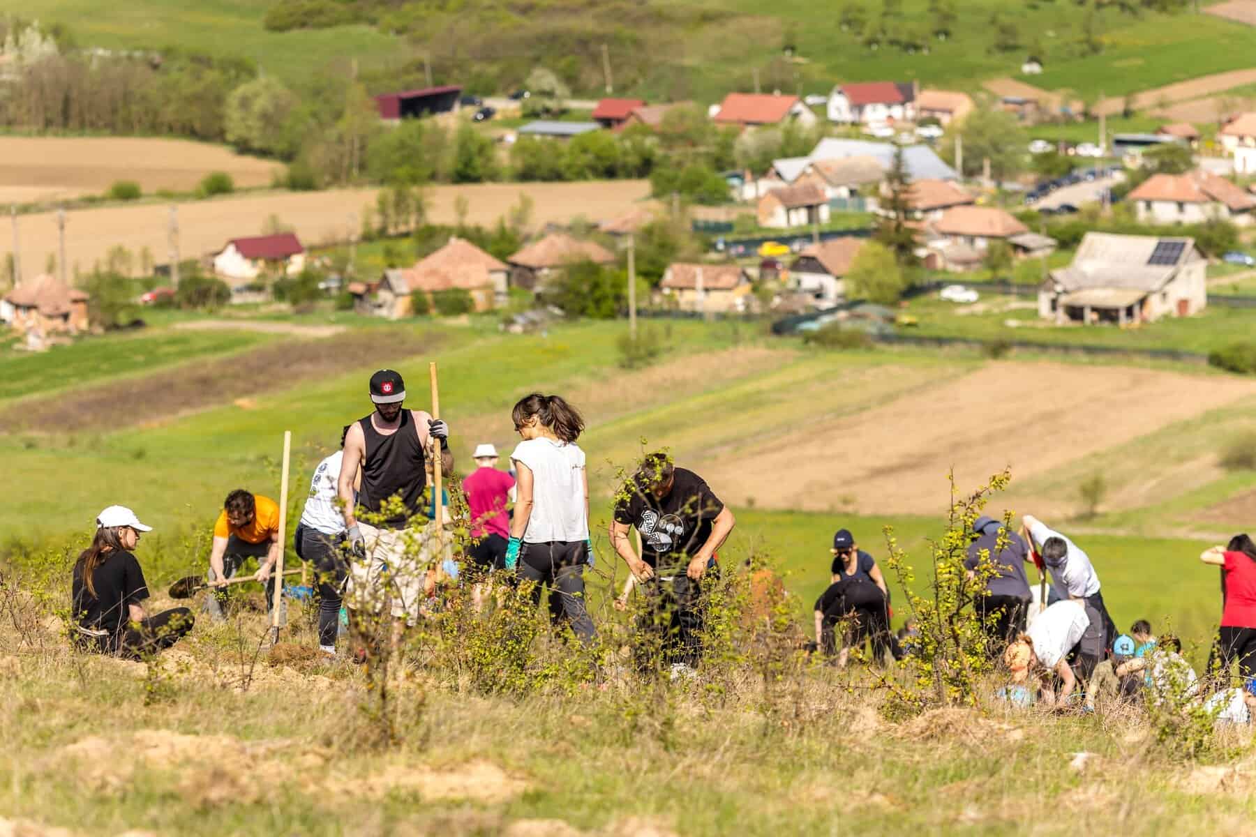 Se caută voluntari pentru o nouă campanie de împădurire