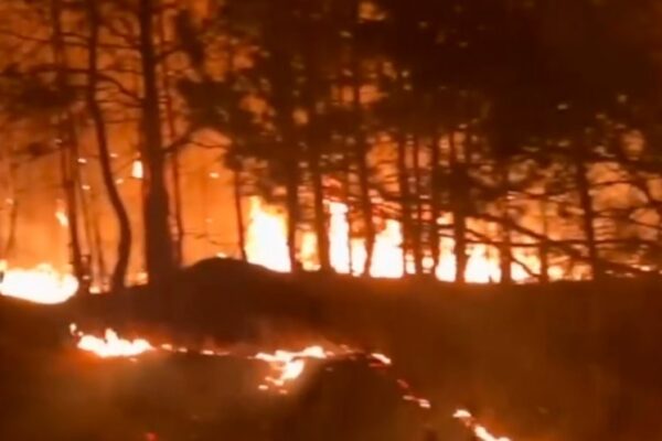 O nouă campanie de prevenire a incendiilor de vegetație