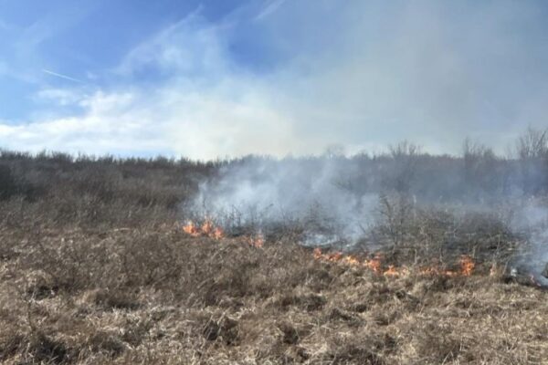 Un nou semnal de alarmă în privința incendiilor de vegetație la Cluj