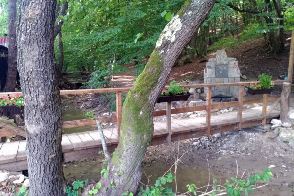 Izvoarele secrete din Pădurea Făget, de lângă Cluj Napoca. Au cea mai bună apă din Europa