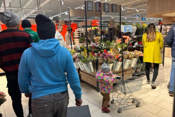 Specula florarilor de 8 Martie distrusă de marile magazine. Flori la prețuri accesibile pentru toți românii