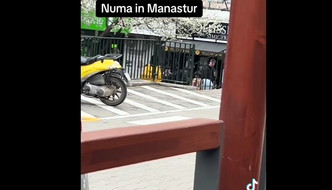 Mănășturul a ajuns ring de box