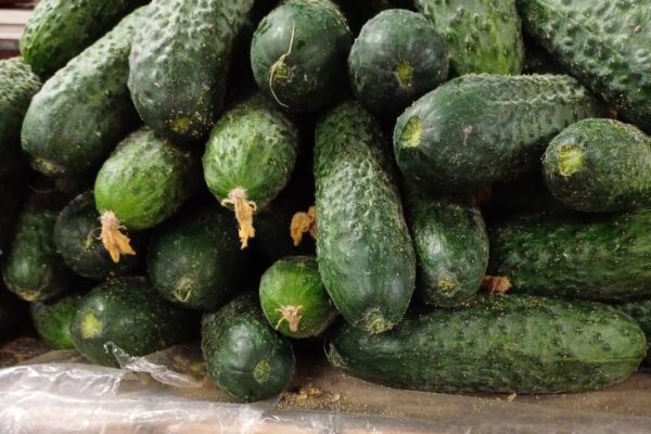 Rămâi șocat când vezi prețurile din piețele clujene. Halucinant cât e 1 kg de castraveți!