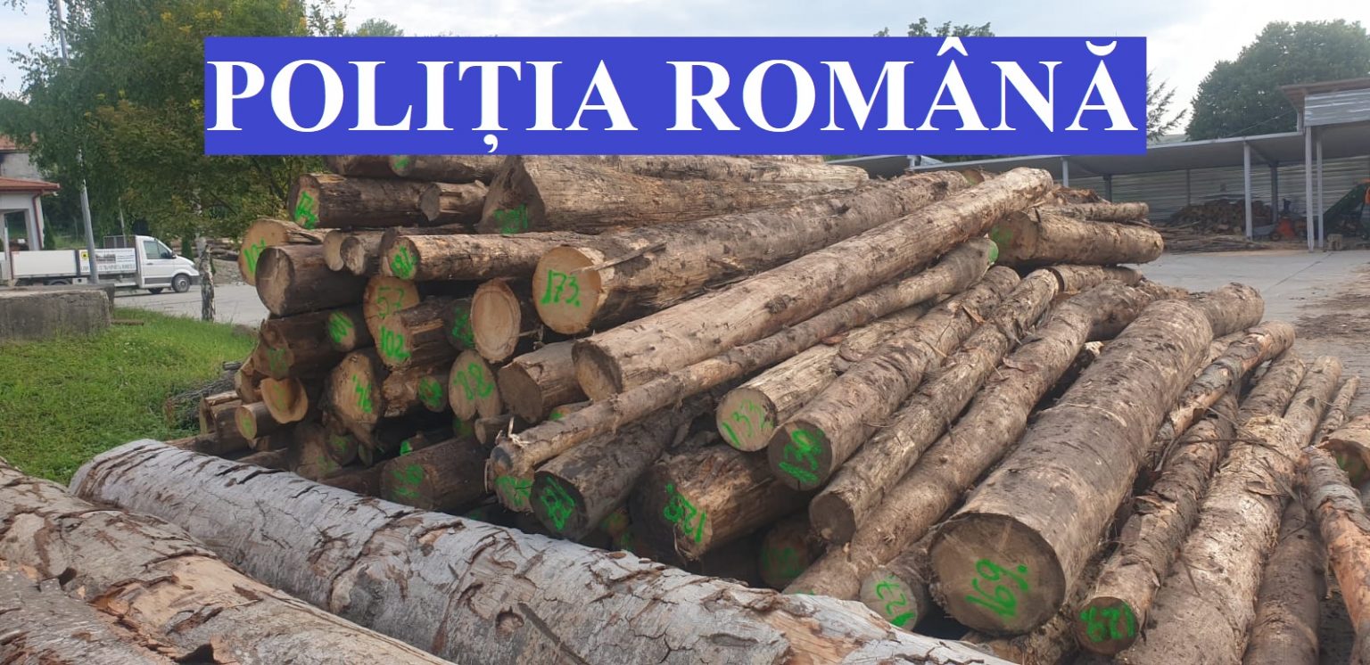 Bărbat ajuns după gratii după ce a tăiat ilegal 28 de copaci