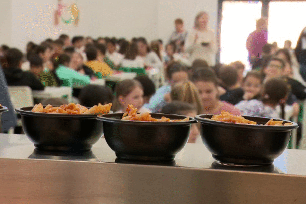 Leon Events, afaceri de două milioane de euro cu cateringul școlar. Patronul în grad de rudenie cu șefa Inspectoratului Școlar Cluj, Marinela Marc
