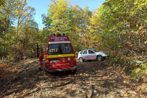 Un bărbat a murit după ce a fost strivit de un buștean într-o pădure din Cluj