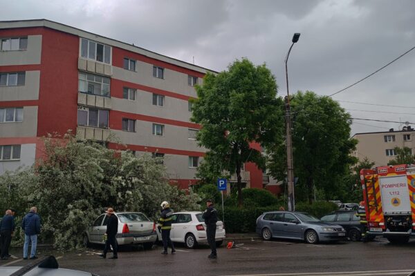 Vântul puternic a rupt un arbore și l-a aruncat peste mașini
