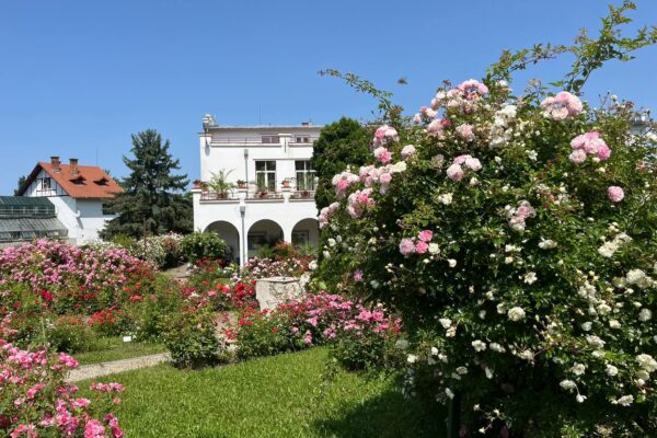 100 de ani de Grădina Botanică la Cluj. Intrarea va fi gratuită