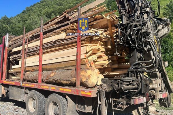 Perchezițiile continuă la mafia lemnului din Cluj. Lemne în valoare de peste 10.000 lei confiscate de polițiști la Băișoara