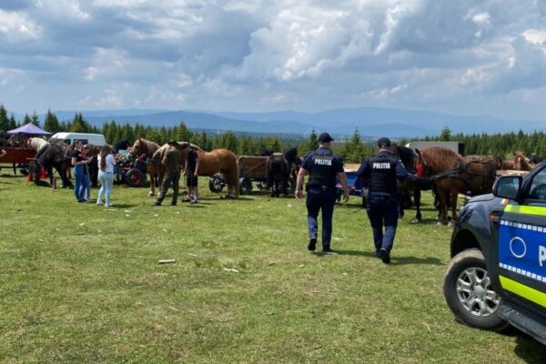 S-au întețit controalele la festivalurile ecvestre din Cluj după moartea calului Falko