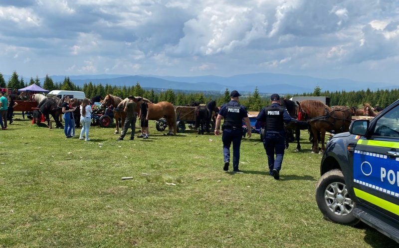 S-au întețit controalele la festivaluriel ecvestre din Cluj