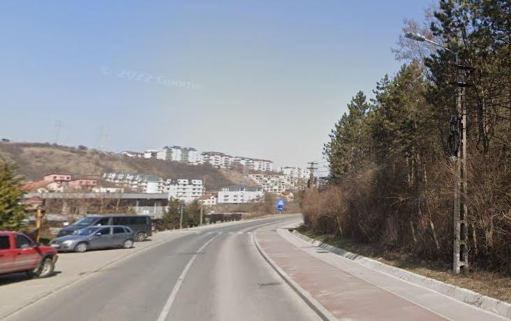 Pădurea Făget distrusă pas cu pas
