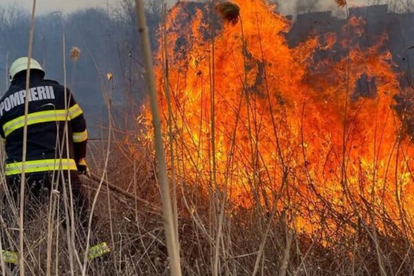 Incendiu de vegetație într-o localitate din Cluj. Bărbat de 70 ani găsit inconștient, cu arsuri pe jumătate din corp