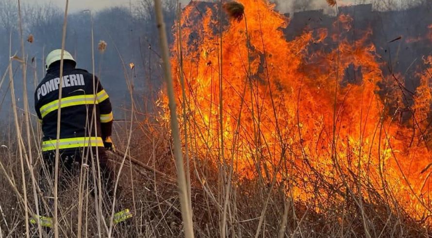 Incendiu de vegetație într-o localitate din Cluj