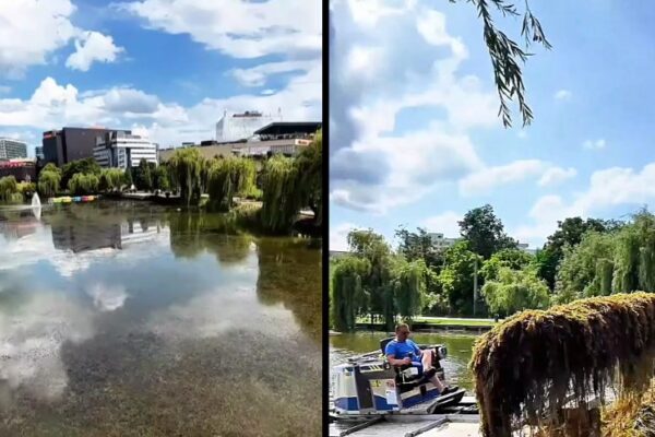 A început curățarea Lacului din Iulius Parc