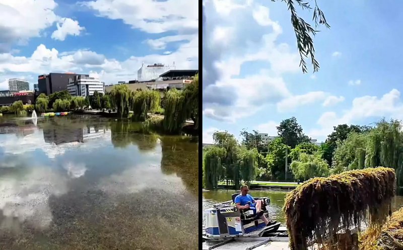 A început curățarea Lacului din Iulius Parc