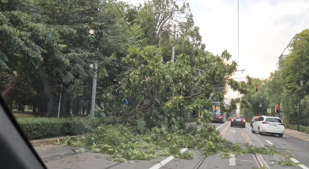Vijelia a făcut ravagii la Cluj