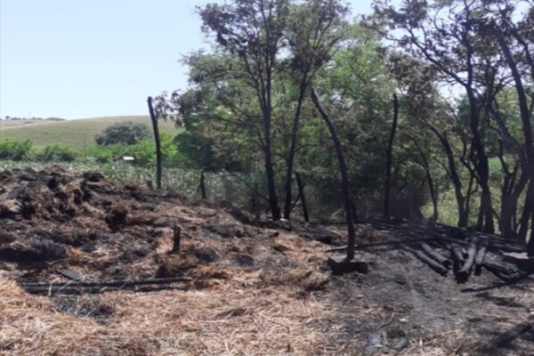 Incendiu puternic în comuna Cămărașu. Totul se putea transforma într-o catastrofă