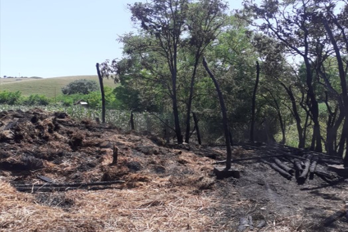 Incendiu puternic în comuna Cămărașu