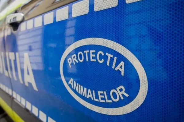 Poliția Animalelor a intervenit prompt după ce a un clujean și-a lăsat puiul de câine pe balcon