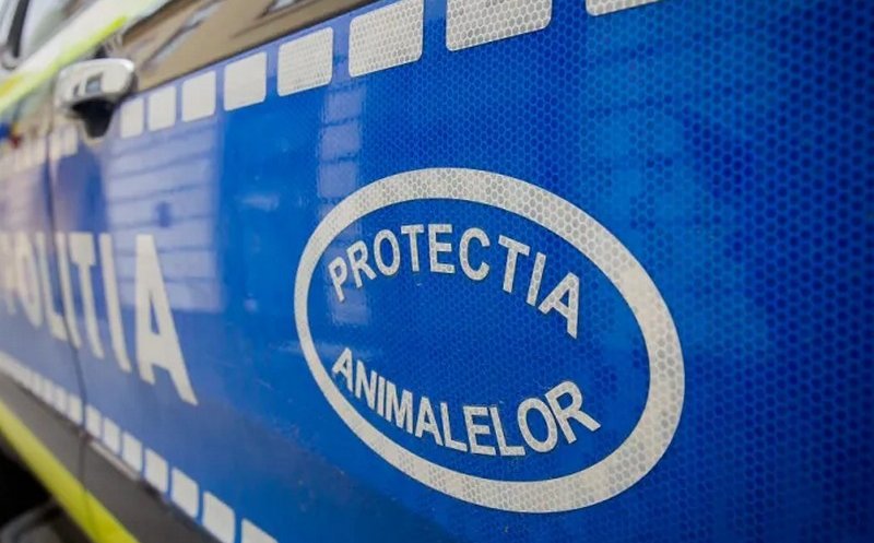 Poliția Animalelor a intervenit prompt după ce a un clujean și-a lăsat puiul de câine pe balcon
