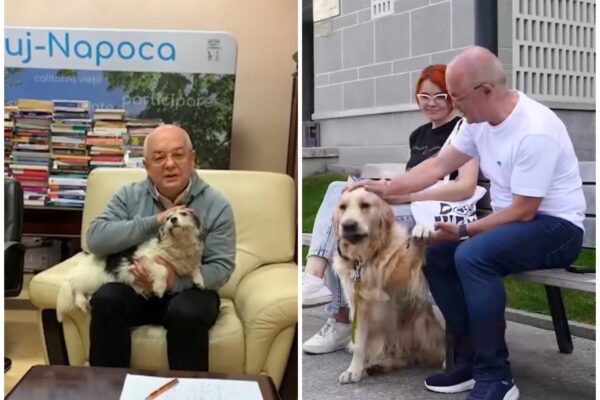 Primăria Cluj-Napoca devine „pet friendly”, alături de alte instituții din subordine